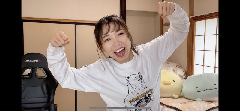 ポートフォリオ分散投資の図解